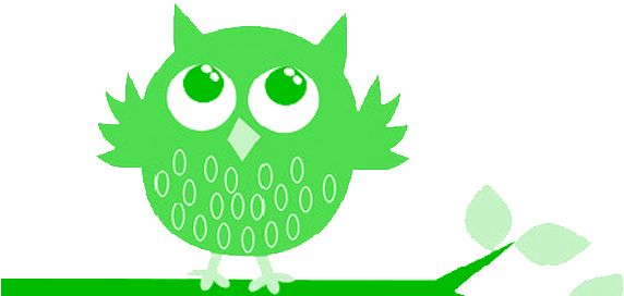 Owl - Free Transparent PNG Clipart Images Download. - Transparent PNG Free Download | PNGio