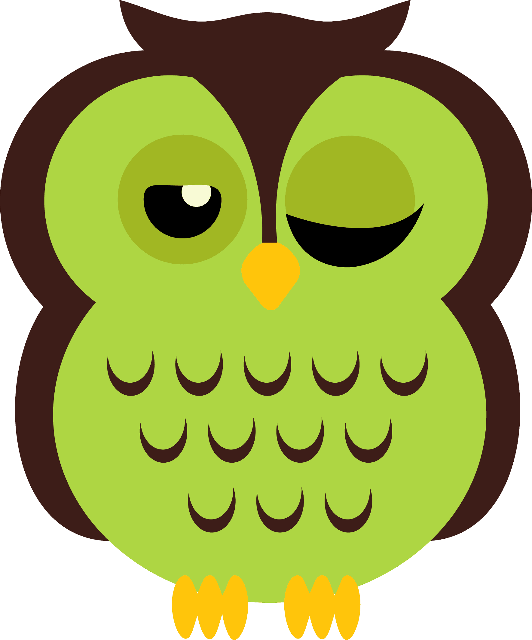 Photo By @daniellemoraesfalcao - Owl - Free Transparent PNG Clipart Images Download. - Transparent PNG Free Download | PNGio
