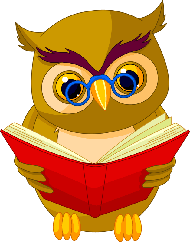 9 Png Owl Clip Art And Craft Art Rh Pinterest Com Au - Owl Cartoon - Free Transparent PNG Clipart Images Download. - Transparent PNG Free Download | PNGio
