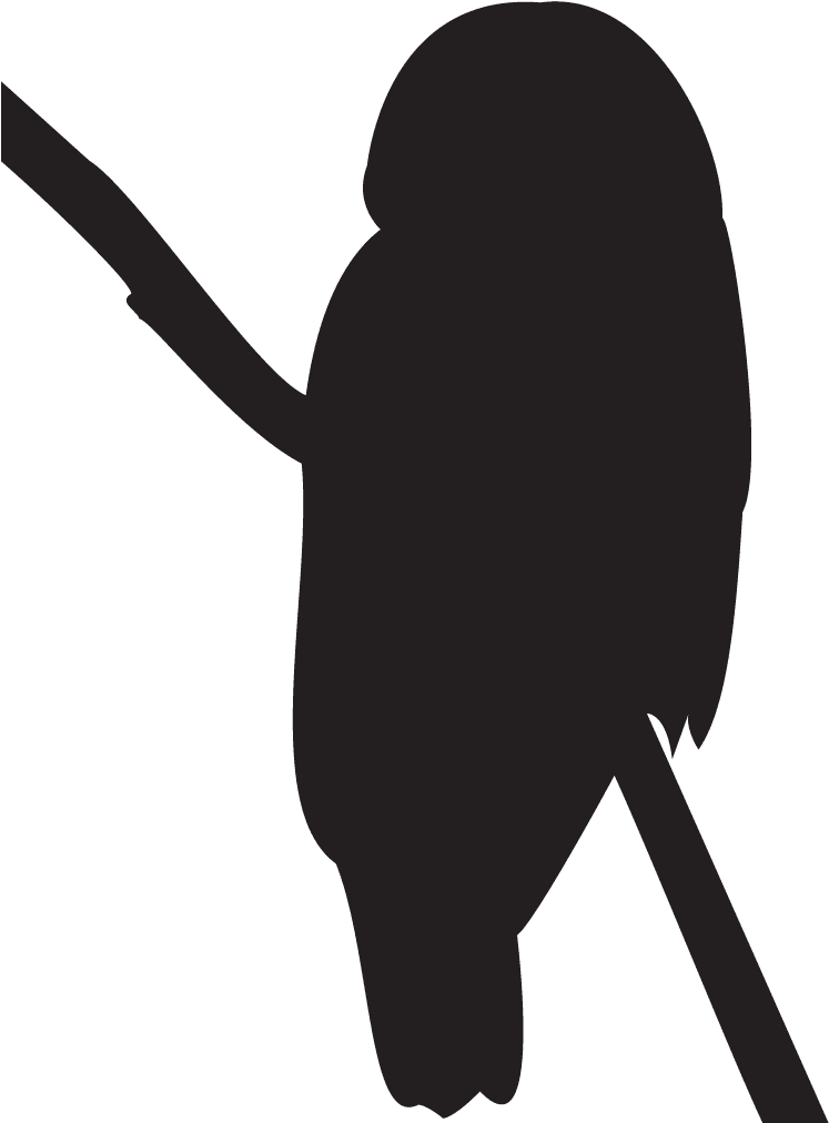 Owl Silhouette Images - Barred Owl Silhouette - Free Transparent PNG Clipart Images Download. - Transparent PNG Free Download | PNGio