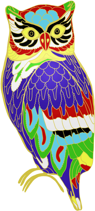 The Colourful Owl Of Madness By Kristalstittle - Colourful Owl - Free Transparent PNG Clipart Images Download. - Transparent PNG Free Download | PNGio