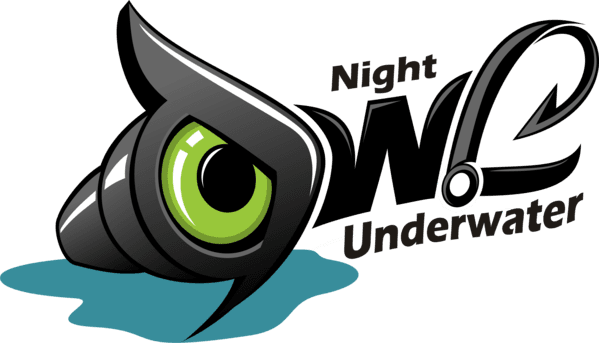Night Owl Underwater - Owl - Free Transparent PNG Clipart Images Download. - Transparent PNG Free Download | PNGio