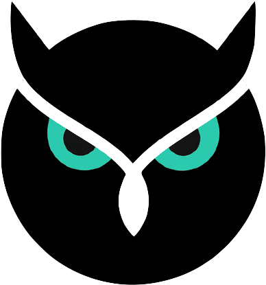 Photo Stock - Night Owl - Free Transparent PNG Clipart Images Download. - Transparent PNG Free Download | PNGio