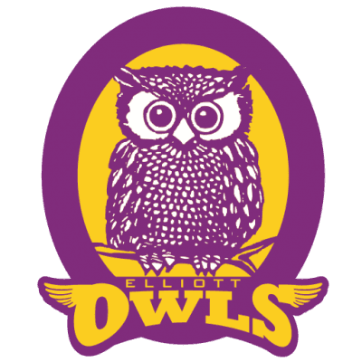 Zoo Field Trip-kindergarten Animal Reseach - Green Owl Coaster - Free Transparent PNG Clipart Images Download. - Transparent PNG Free Download | PNGio