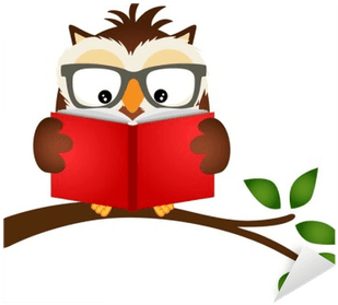 Owl Reading A Book Clipart - Free Transparent PNG Clipart Images Download. - Transparent PNG Free Download | PNGio