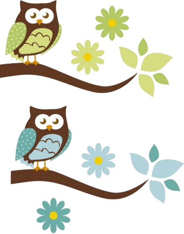 Establishing Class Rules As A Group - Owl - Free Transparent PNG Clipart Images Download. - Transparent PNG Free Download | PNGio