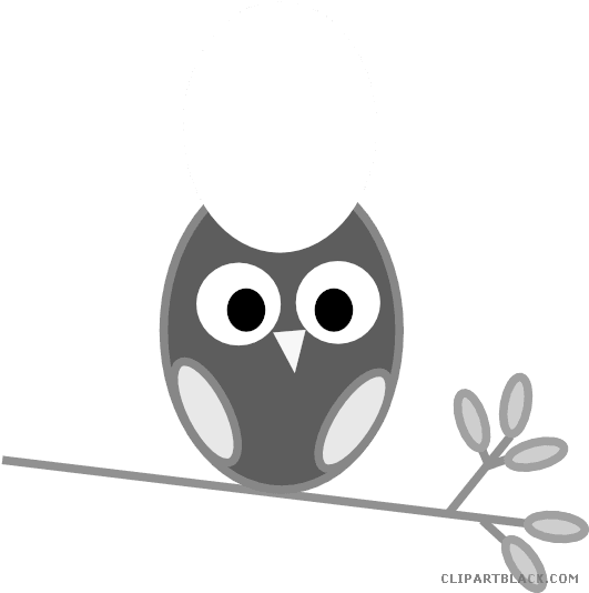 Owl On A Branch Animal Free Black White Clipart Images - Owl Clip Art - Free Transparent PNG Clipart Images Download. - Transparent PNG Free Download | PNGio