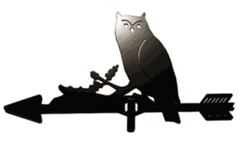 Great Horned Owl - Free Transparent PNG Clipart Images Download. - Transparent PNG Free Download | PNGio