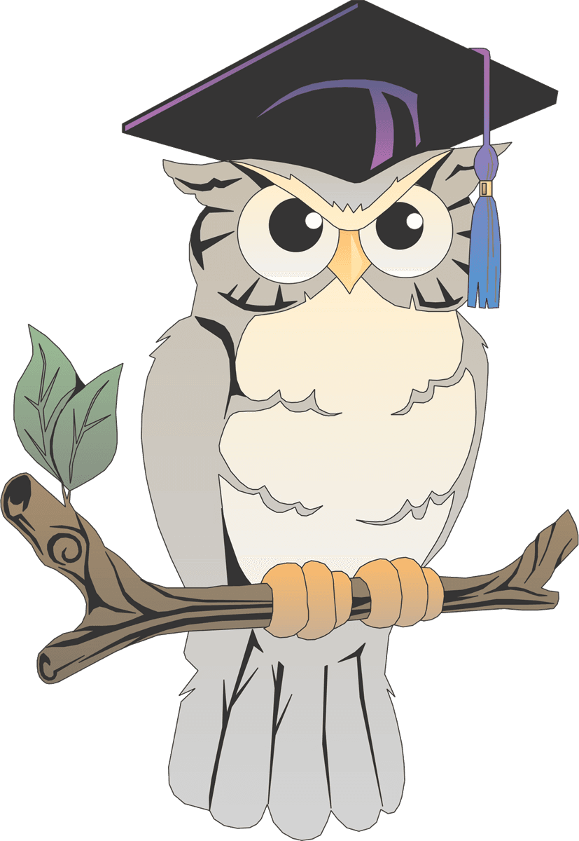 Remember What The After The Election Of 2016 Felt Like - Wise Owl - Free Transparent PNG Clipart Images Download. - Transparent PNG Free Download | PNGio