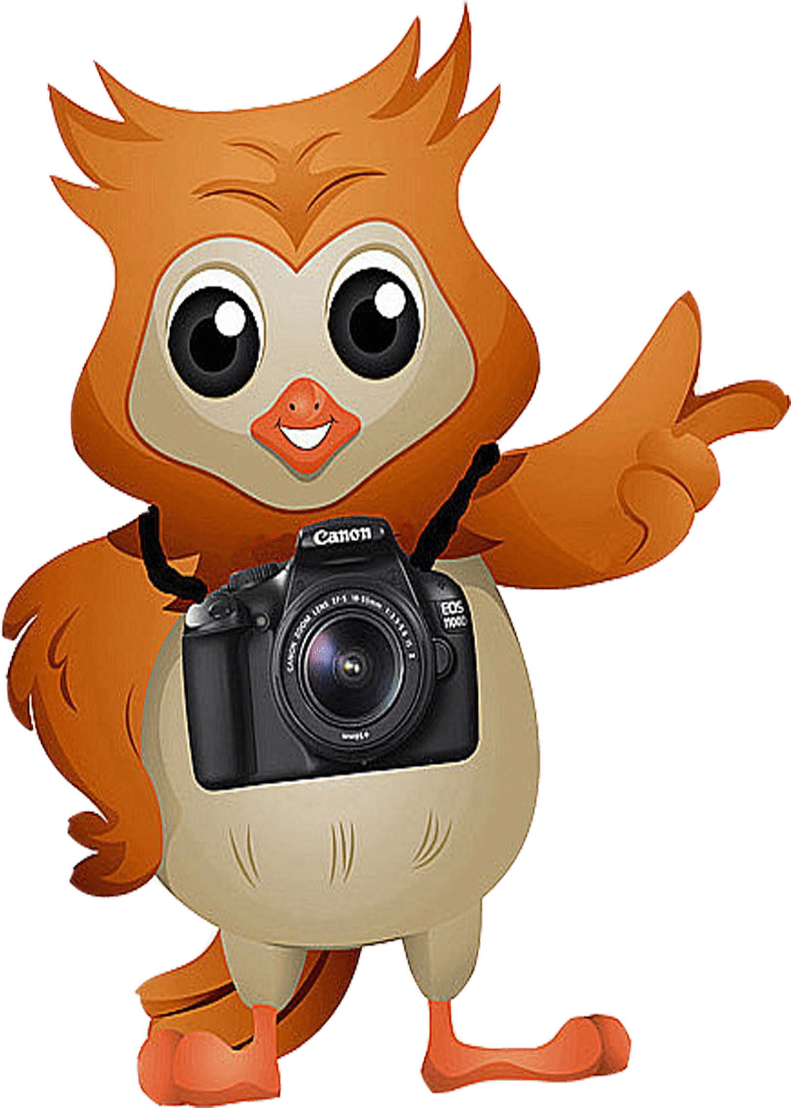 Camera Clipart Owl - Cartoon Owl With A Camera - Free Transparent PNG Clipart Images Download. - Transparent PNG Free Download | PNGio