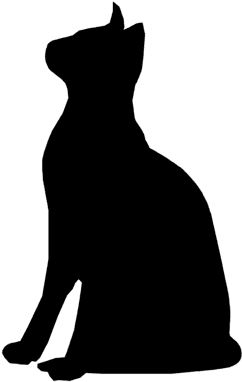 Closed All Public Bank Holidays Barn Owls Attentive - Barn Owl - Free Transparent PNG Clipart Images Download. - Transparent PNG Free Download | PNGio