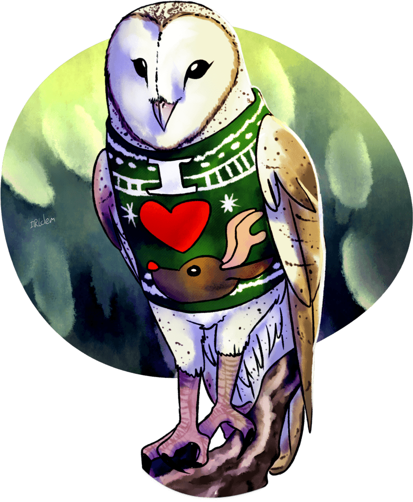Commission By Irlclem - Barn Owl - Free Transparent PNG Clipart Images Download. - Transparent PNG Free Download | PNGio