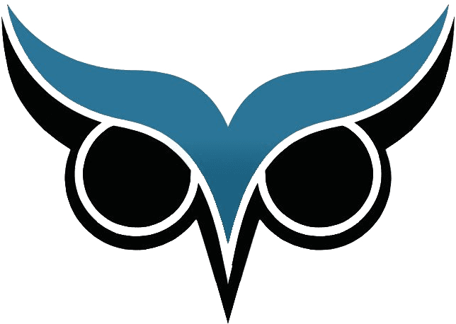 Brow Analytics Three Years - Owl Eye Vector Png - Free Transparent PNG Clipart Images Download. - Transparent PNG Free Download | PNGio