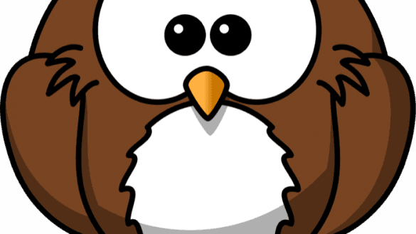 Modest Cartoon Pictures Of An Owl Clipart Animated - Cartoon Png Image Of A Owl - Free Transparent PNG Clipart Images Download. - Transparent PNG Free Download | PNGio