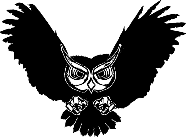 Owl Vinyl Wall Art Sticker, Black, Size Medium - Free Transparent PNG Clipart Images Download. - Transparent PNG Free Download | PNGio