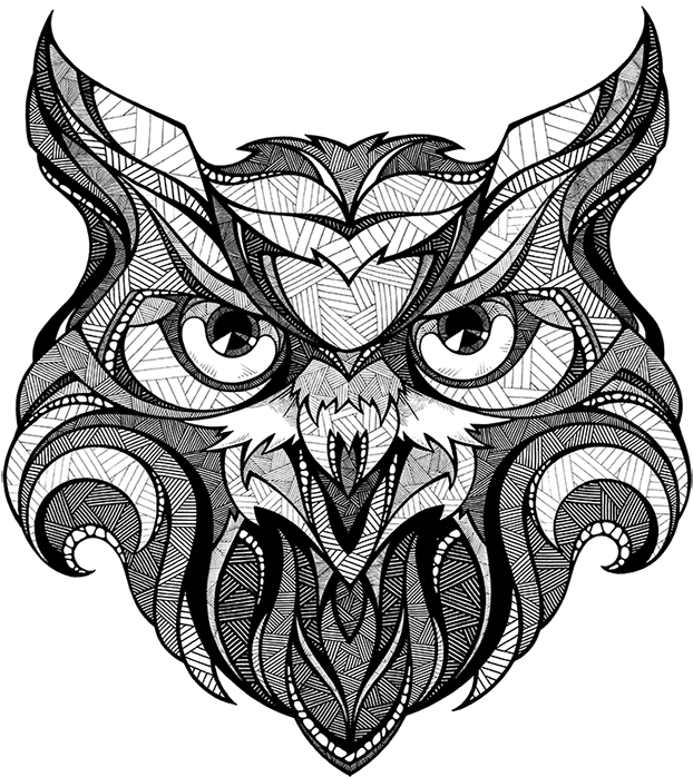 Andreas Preis Owl - Free Transparent PNG Clipart Images Download. - Transparent PNG Free Download | PNGio