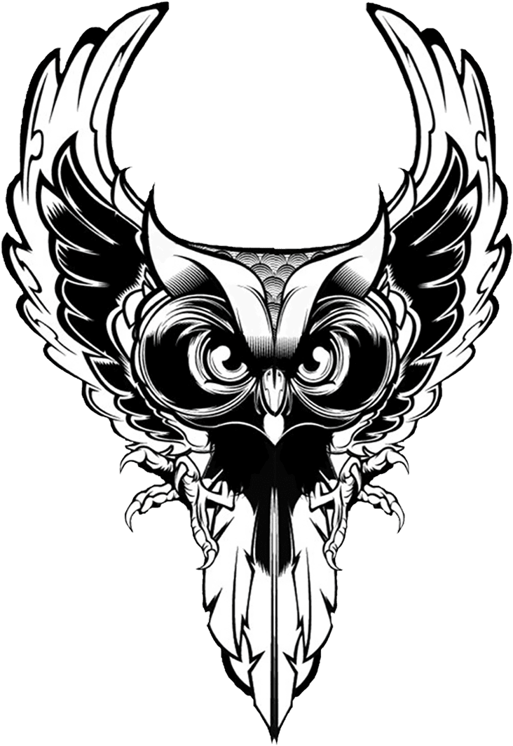 Giveret Shiraz - Owl Illustration - Free Transparent PNG Clipart Images Download. - Transparent PNG Free Download | PNGio