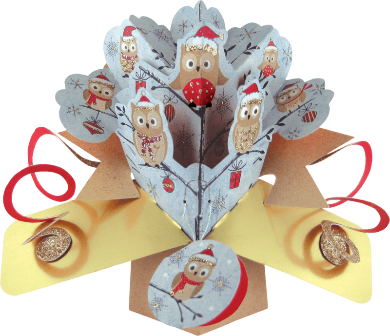 Christmas Pop Up Card With Festive Owls - Free Transparent PNG Clipart Images Download. - Transparent PNG Free Download | PNGio