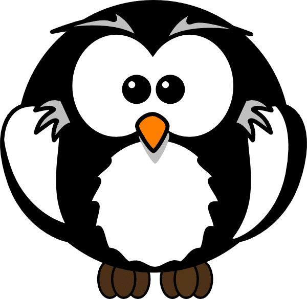 Cartoon Owl - Free Transparent PNG Clipart Images Download. - Transparent PNG Free Download | PNGio