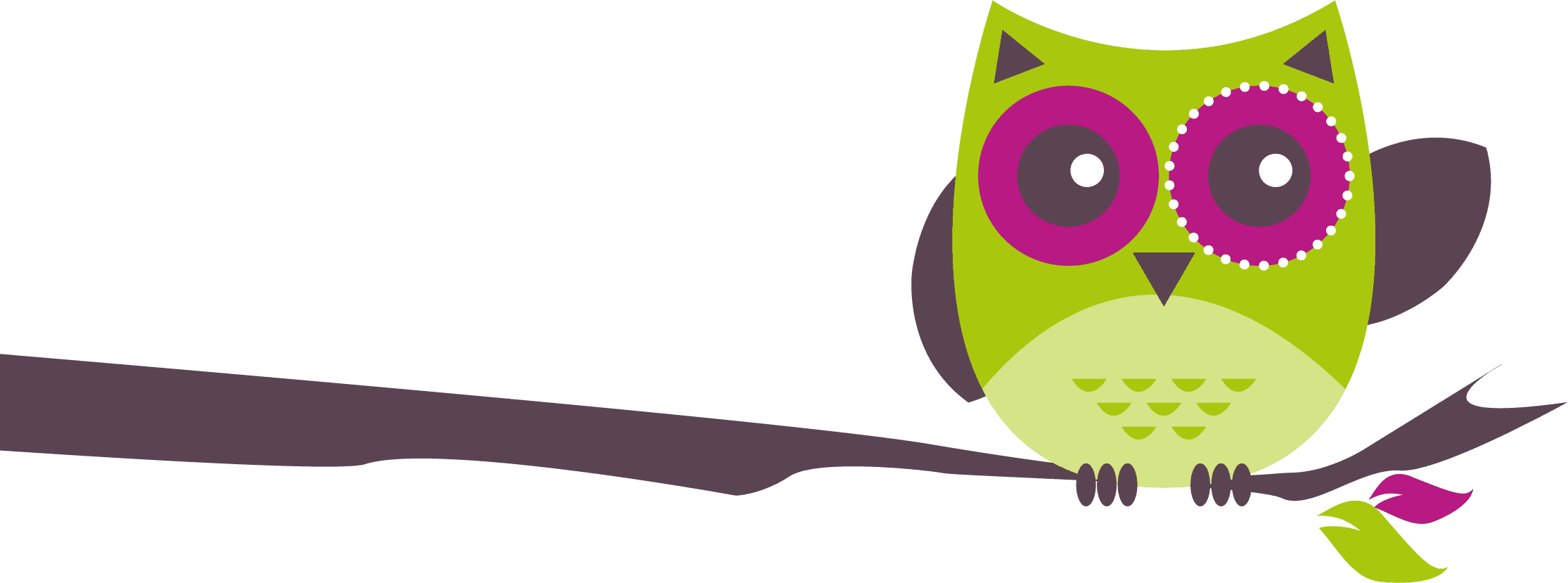 Top Hd, Cashadvance6online - Owl On Branch Png - Free Transparent PNG Clipart Images Download. - Transparent PNG Free Download | PNGio