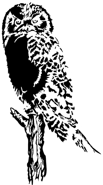 Owls Are Not What They Seem Square Sticker 3" - Free Transparent PNG Clipart Images Download. - Transparent PNG Free Download | PNGio