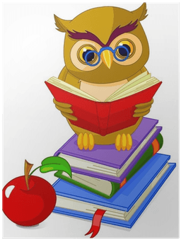Wise Owl - Free Transparent PNG Clipart Images Download. - Transparent PNG Free Download | PNGio