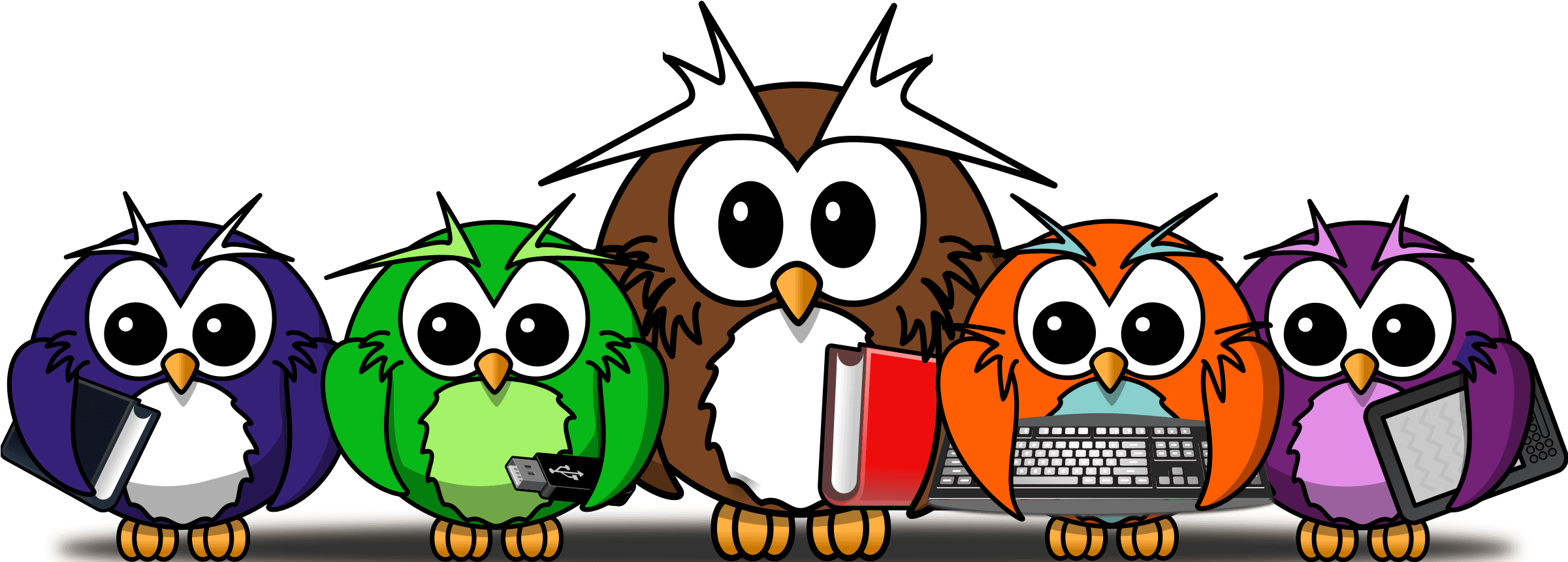 Little Owl Painting Line Art Cartoon - Cartoon Owl Shower Curtain - Free Transparent PNG Clipart Images Download. - Transparent PNG Free Download | PNGio