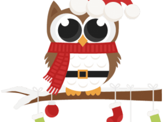 Owl Clipart Holiday - Christmas Owls Coloring Pages - Free Transparent PNG Clipart Images Download. - Transparent PNG Free Download | PNGio