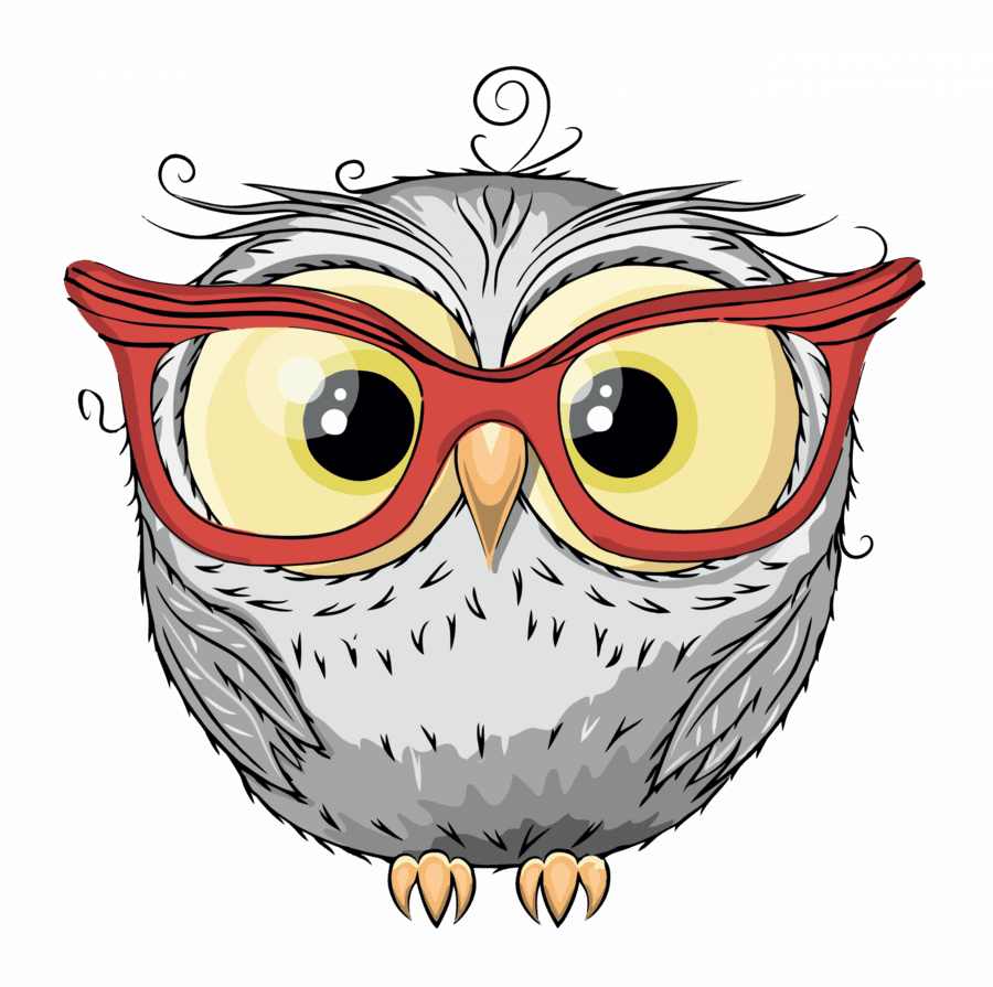 Cute Owls Clipart Owl Drawing - Owl Drawing - Free Transparent PNG Clipart Images Download. - Transparent PNG Free Download | PNGio