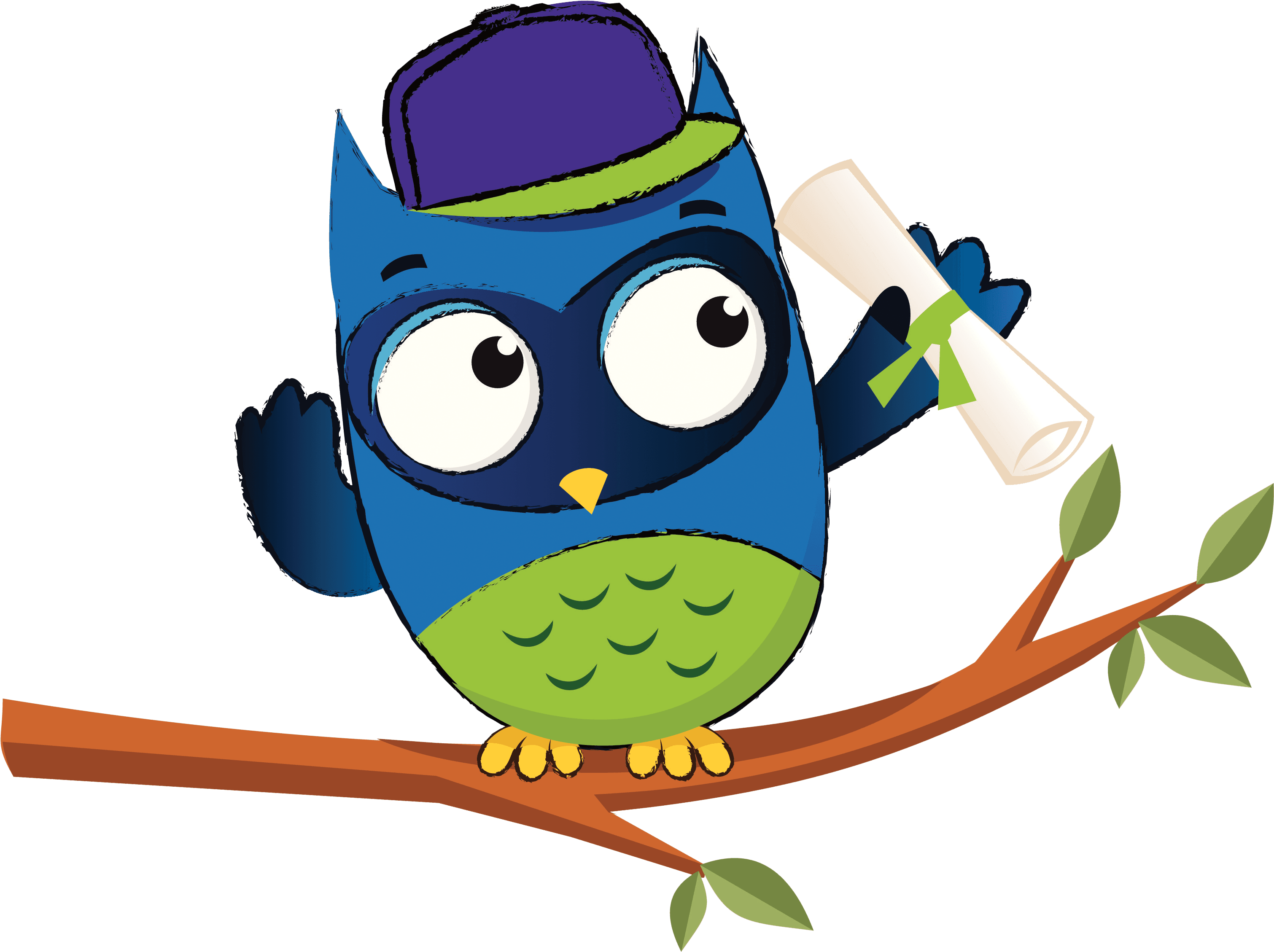 Natural Resources Wales' Education, Learning And Sector - Owl - Free Transparent PNG Clipart Images Download. - Transparent PNG Free Download | PNGio