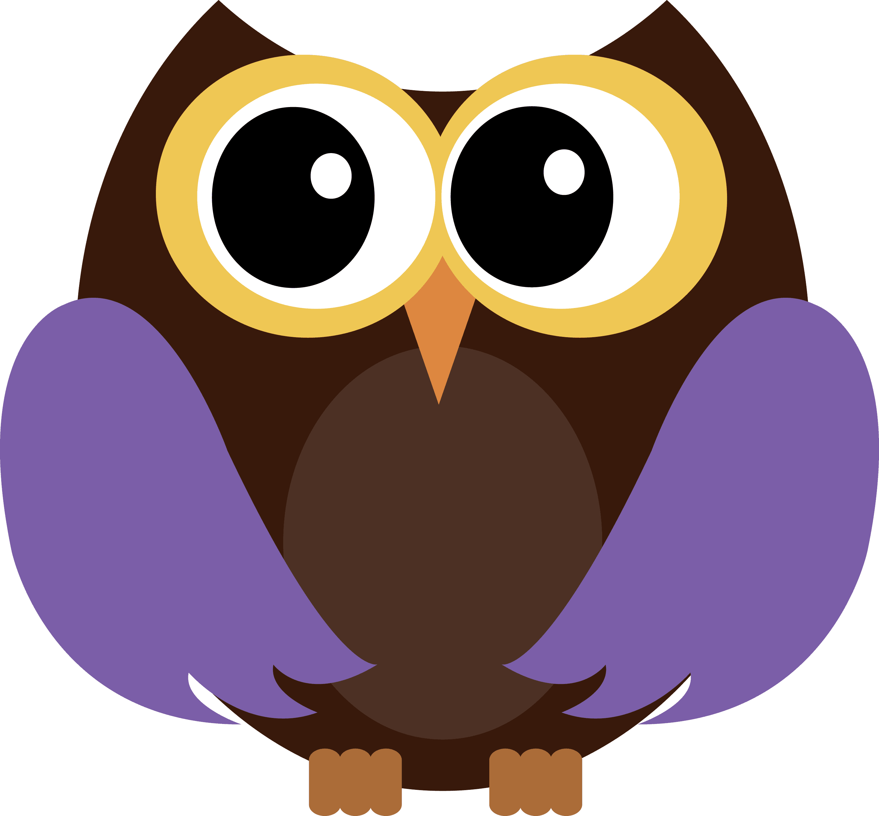 Photo By @daniellemoraesfalcao - Owl - Free Transparent PNG Clipart Images Download. - Transparent PNG Free Download | PNGio
