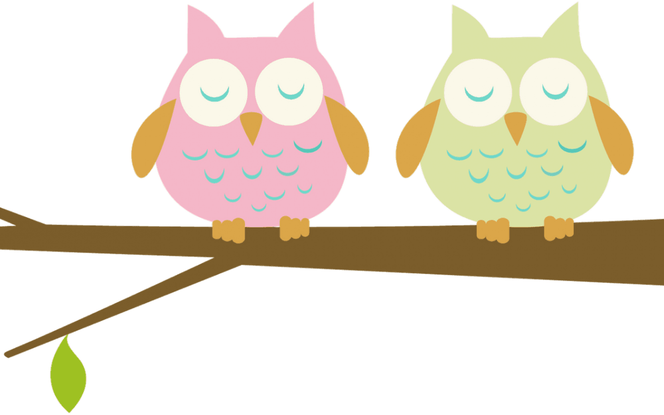 10 Things I Wish Someone Would Have Told Me About Teaching - Owls On A Branch Clip Art - Free Transparent PNG Clipart Images Download. - Transparent PNG Free Download | PNGio
