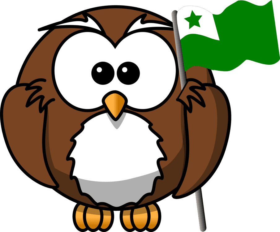 Owl Drawing Cartoon Bird Of Prey - Owl On Book Clipart - Free Transparent PNG Clipart Images Download. - Transparent PNG Free Download | PNGio