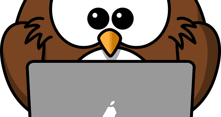 Struggling With Building Your Website - Cartoon Owl Shower Curtain - Free Transparent PNG Clipart Images Download. - Transparent PNG Free Download | PNGio