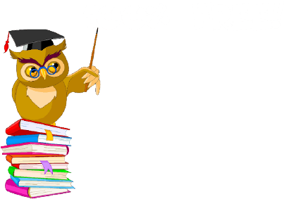 Owl Cartoon - Free Transparent PNG Clipart Images Download. - Transparent PNG Free Download | PNGio