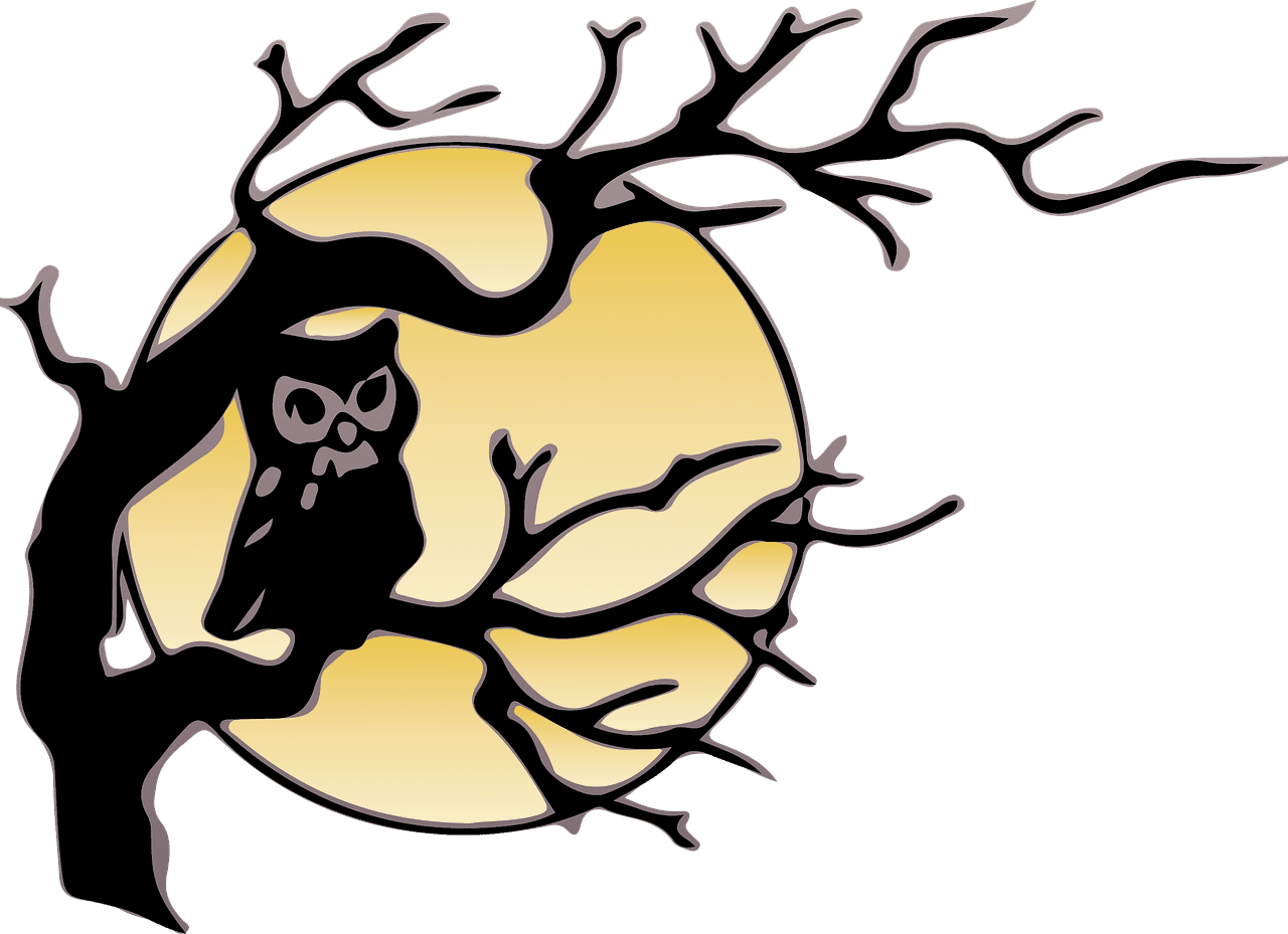 Owl In Tree Drawing - Free Transparent PNG Clipart Images Download. - Transparent PNG Free Download | PNGio