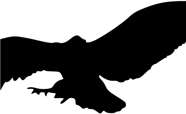 Vulture Clipart Flying - Silhouette Of Owls Flying - Free Transparent PNG Clipart Images Download. - Transparent PNG Free Download | PNGio