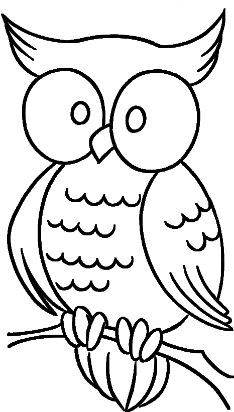 Cute Owl With Bulging Eyes Coloring Pages - Simple Owl Coloring Pages - Free Transparent PNG Clipart Images Download. - Transparent PNG Free Download | PNGio