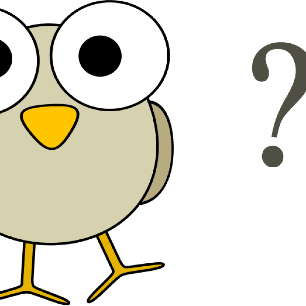 Free Clip Art Question Mark Free Clipart Grey Bird - Owl Question Mark - Free Transparent PNG Clipart Images Download. - Transparent PNG Free Download | PNGio