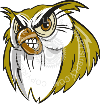 Mean Owl - Free Transparent PNG Clipart Images Download. - Transparent PNG Free Download | PNGio