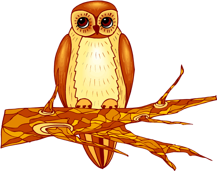 Owl Clipart - Clip Art - Free Transparent PNG Clipart Images Download. - Transparent PNG Free Download | PNGio