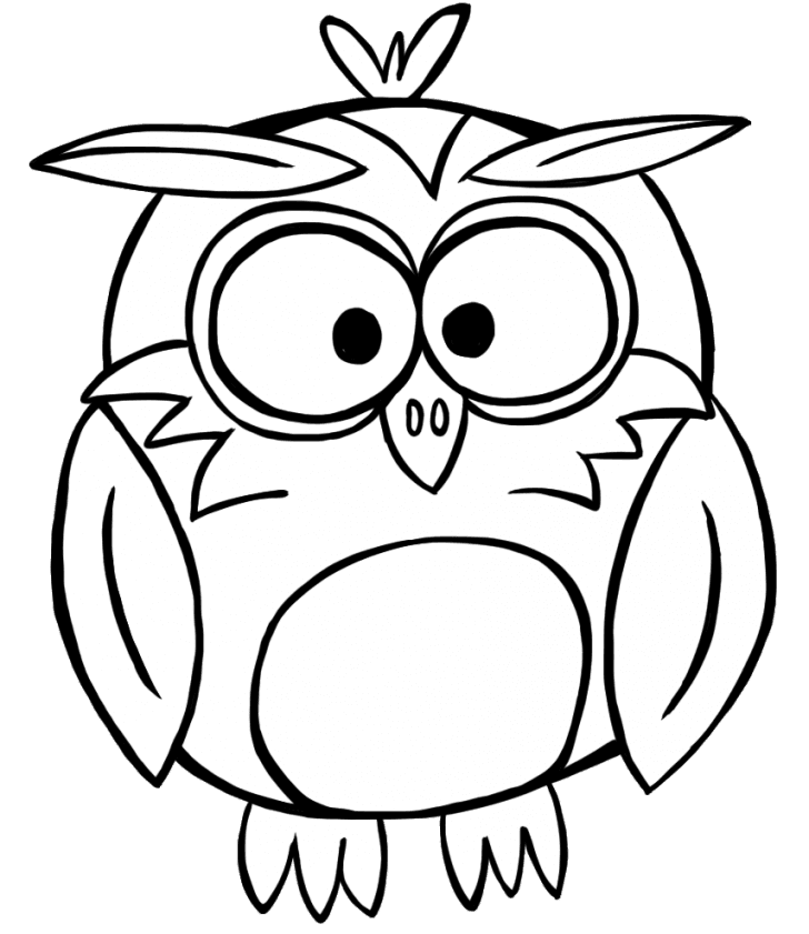 Owl Outline Cliparts - Fall Clip Art Black And White - Free Transparent PNG Clipart Images Download. - Transparent PNG Free Download | PNGio