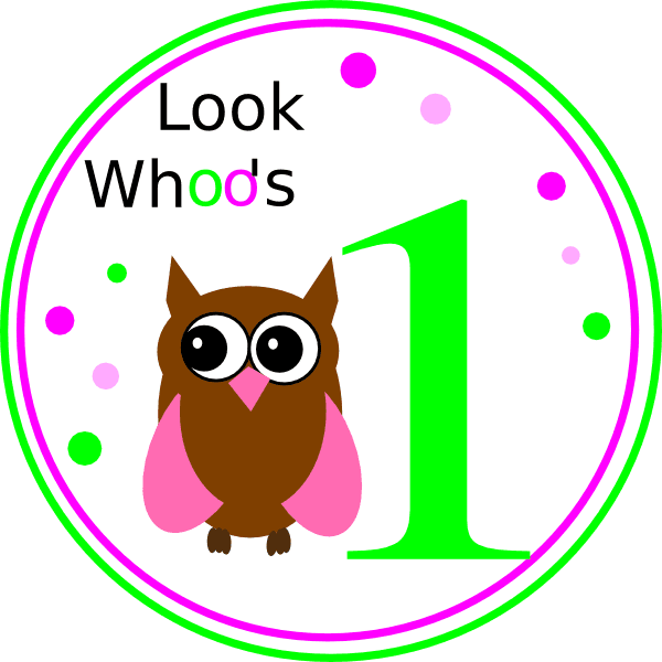 Owl Birthday Clip Art At Clkercom Vector - Clip Art - Free Transparent PNG Clipart Images Download. - Transparent PNG Free Download | PNGio