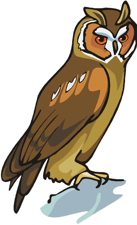 Owl - Animal - Free Transparent PNG Clipart Images Download. - Transparent PNG Free Download | PNGio
