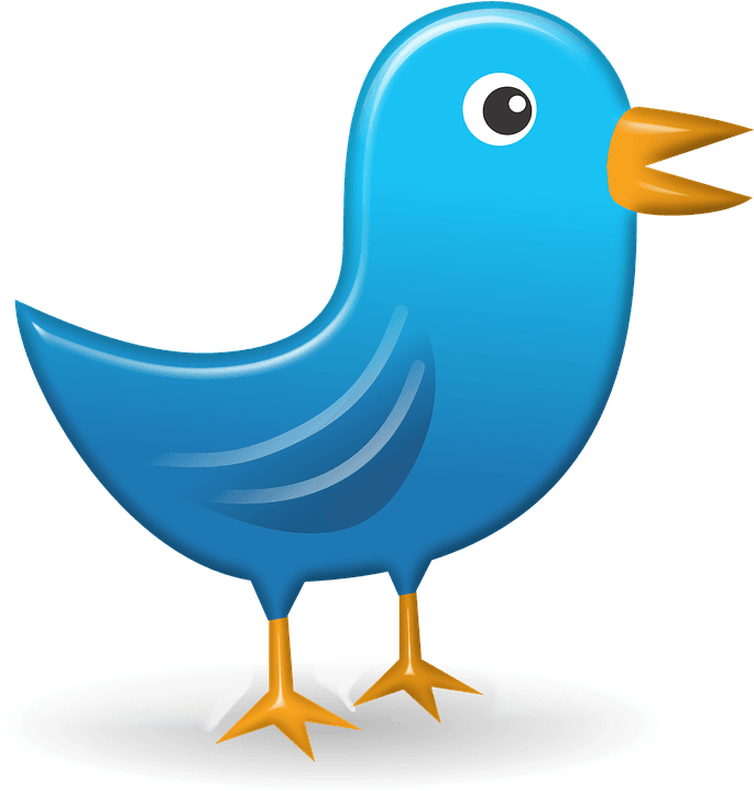 Owl Typing Cliparts 12, Buy Clip Art - Chicken - Free Transparent PNG Clipart Images Download. - Transparent PNG Free Download | PNGio