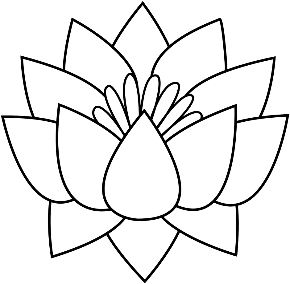 Office Large Size Flowers Black And White Drawing Clipart - Lotus Flower Line Art - Free Transparent PNG Clipart Images Download. - Transparent PNG Free Download | PNGio