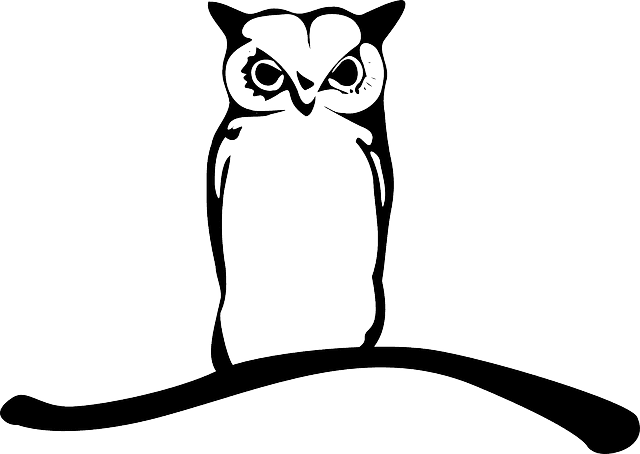 Branch Owl, Owlet, Eagle Owl, Animal, Bird, Twig, Branch - Vector Burung Hantu - Free Transparent PNG Clipart Images Download. - Transparent PNG Free Download | PNGio