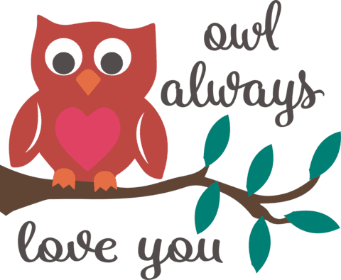 Owl Always Love You - Owl Always Love You - Free Transparent PNG Clipart Images Download. - Transparent PNG Free Download | PNGio