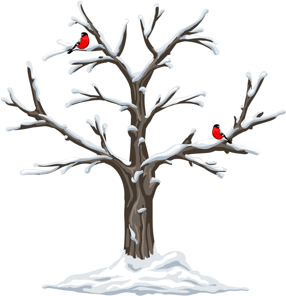 Garden Clipart, Weather Seasons, Clip Art, Christmas - Tree Four Seasons Clipart - Free Transparent PNG Clipart Images Download. - Transparent PNG Free Download | PNGio