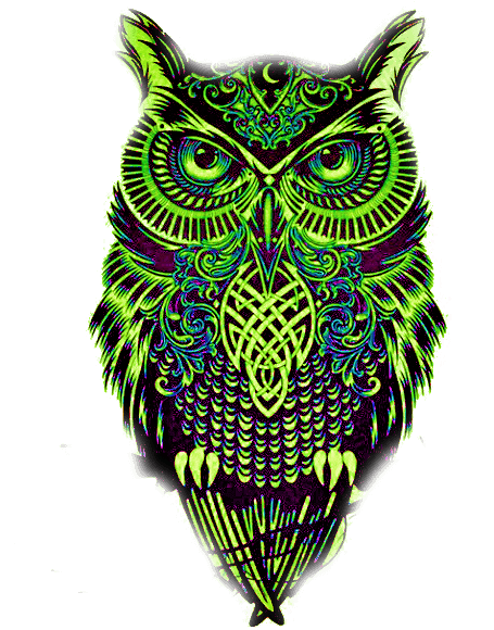 Transparent Owl Tumblr Drawing - Plantillas De Tatuajes De Buhos - Free Transparent PNG Clipart Images Download. - Transparent PNG Free Download | PNGio